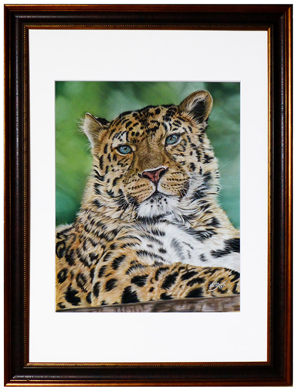 Tierportraits und Tierzeichnungen von Katja Sauer - Amur Leopard in Pastellkreide