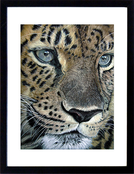 Tierportraits und Tierzeichnungen von Katja Sauer - Leopard in Pastellkreide