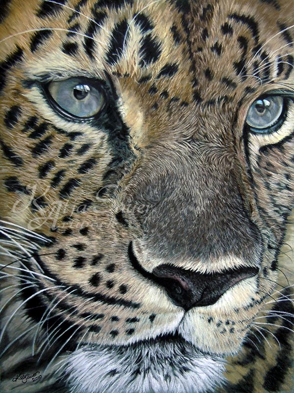 Tierzeichnungen und Tierportraits von Katja Sauer - Leopard in Pastellkreide (30 cm x 40 cm)